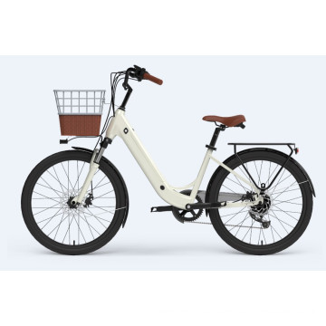 Customized 24 Inch Electric Bike